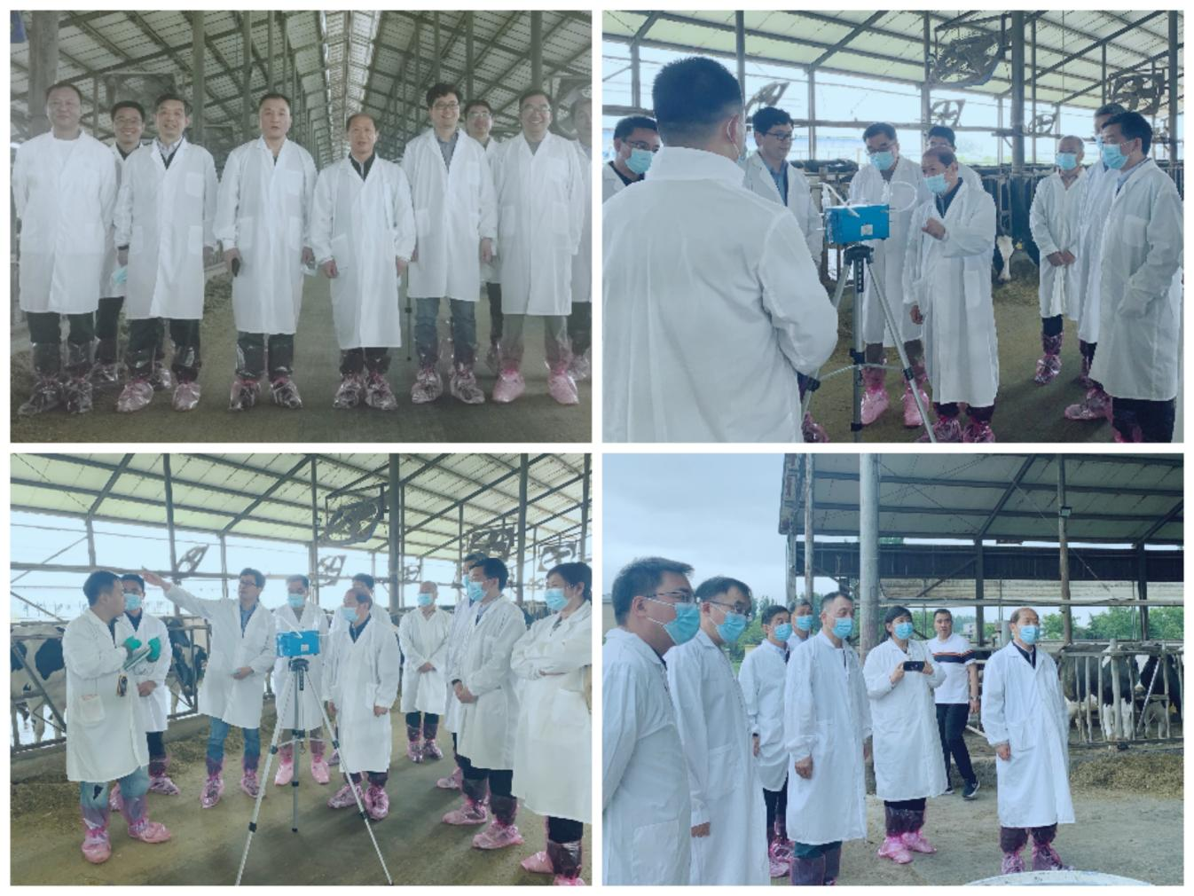 花花牛丨河南農(nóng)業(yè)大學(xué)黨委副書記、校長介曉磊一行蒞臨花花牛河南瑞亞參觀調(diào)研 花花牛丨河南農(nóng)業(yè)大學(xué)黨委副書記、校長介曉磊一行蒞臨花花牛河南瑞亞參觀調(diào)研