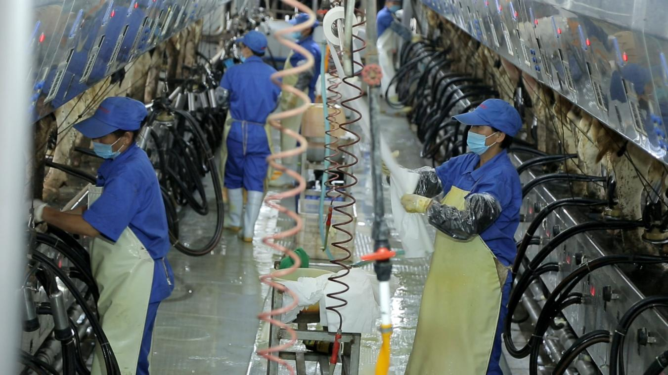 花花牛丨河南農(nóng)業(yè)大學(xué)黨委副書記、校長介曉磊一行蒞臨花花牛河南瑞亞參觀調(diào)研 花花牛丨河南農(nóng)業(yè)大學(xué)黨委副書記、校長介曉磊一行蒞臨花花牛河南瑞亞參觀調(diào)研