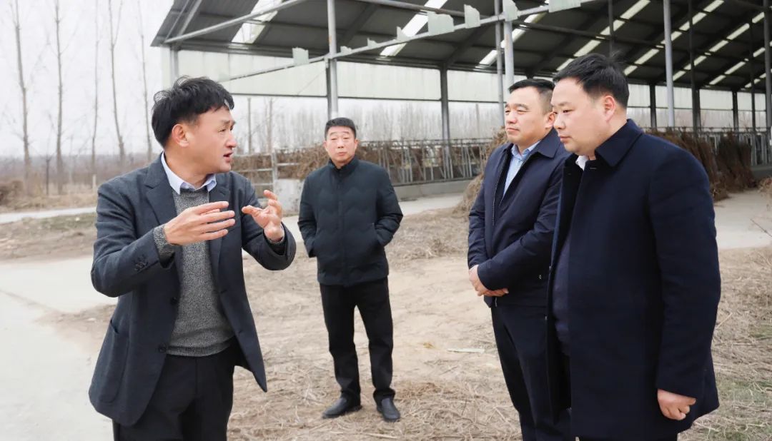 發揮產業優勢 助力鄉村振興 | 民權縣委副書記、縣長王靜嫻會見關曉彥董事長一行 發揮產業優勢 助力鄉村振興 | 民權縣委副書記、縣長王靜嫻會見關曉彥董事長一行