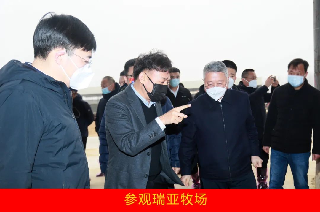 新年開新局 合作促發展丨佳木斯市委常委、副市長閆志剛一行蒞臨花花牛乳業集團及佳田企業考察座談