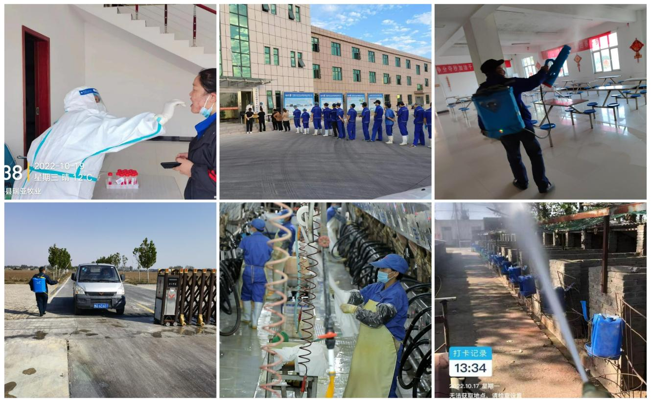 抗疫情、保供應(yīng)、顯擔(dān)當(dāng)——花花牛在行動(dòng)!!! 抗疫情、保供應(yīng)、顯擔(dān)當(dāng)——花花牛在行動(dòng)!!!