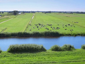 春風吹 戰(zhàn)鼓擂——不負春天好時光