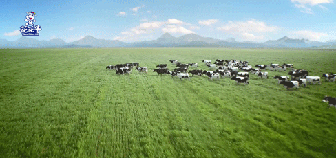 快訊 | 2020河南民營企業100強發布 花花牛榮獲“河南民營企業現代農業100強”、“河南民營企業社會責任100強”雙榮譽