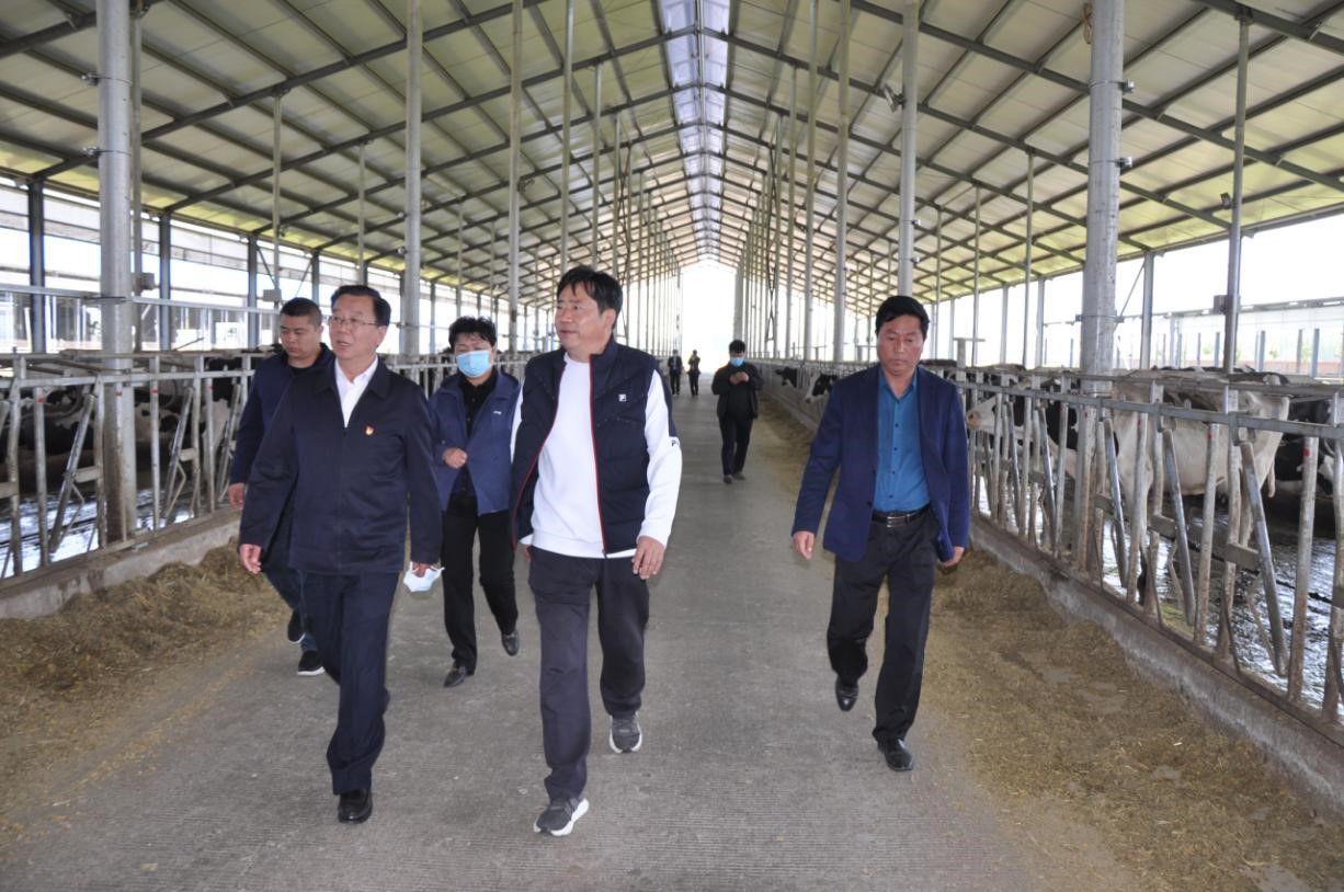 商丘市委常委、宣傳部部長王全周一行蒞臨睢縣瑞亞牧業有限公司調研