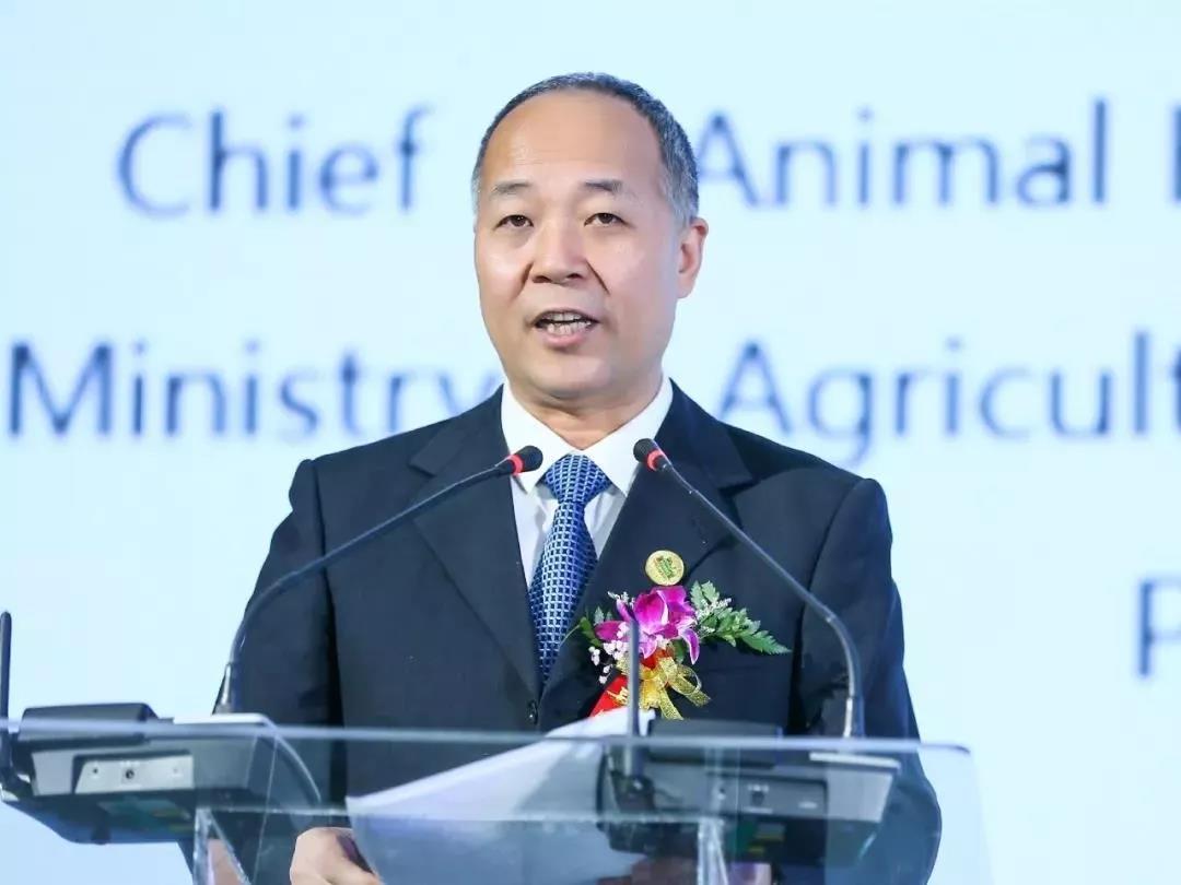 SDDDC走進河南，看看花花牛的國際范兒！