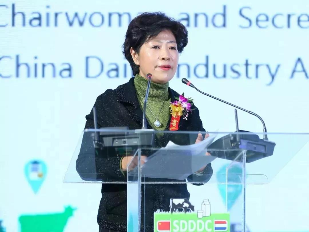 SDDDC走進河南，看看花花牛的國際范兒！