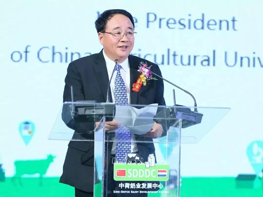 SDDDC走進河南，看看花花牛的國際范兒！