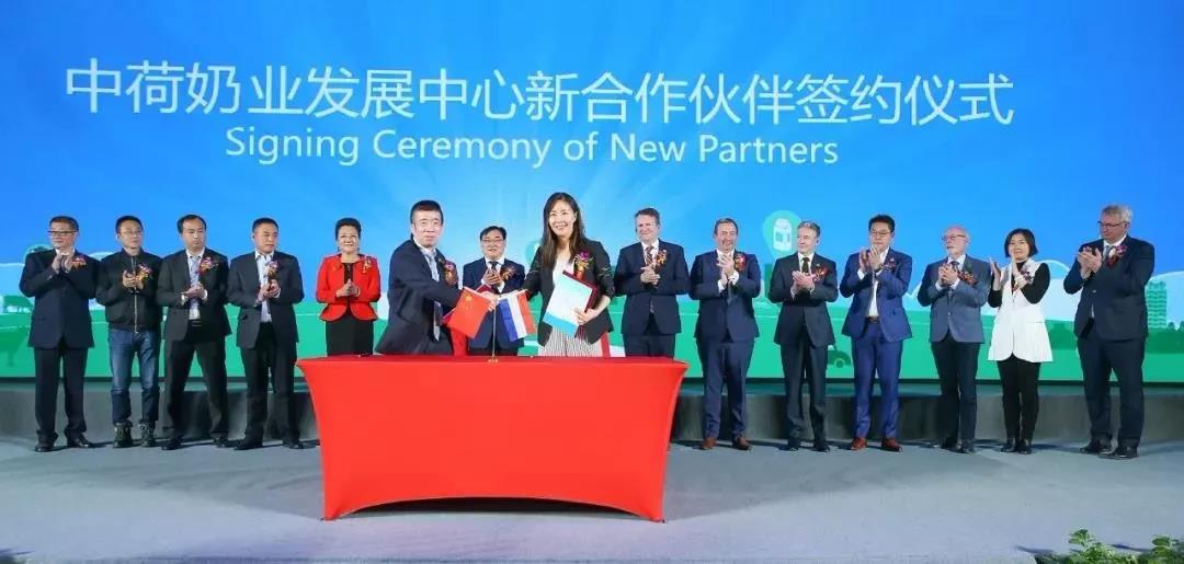 SDDDC走進河南，看看花花牛的國際范兒！