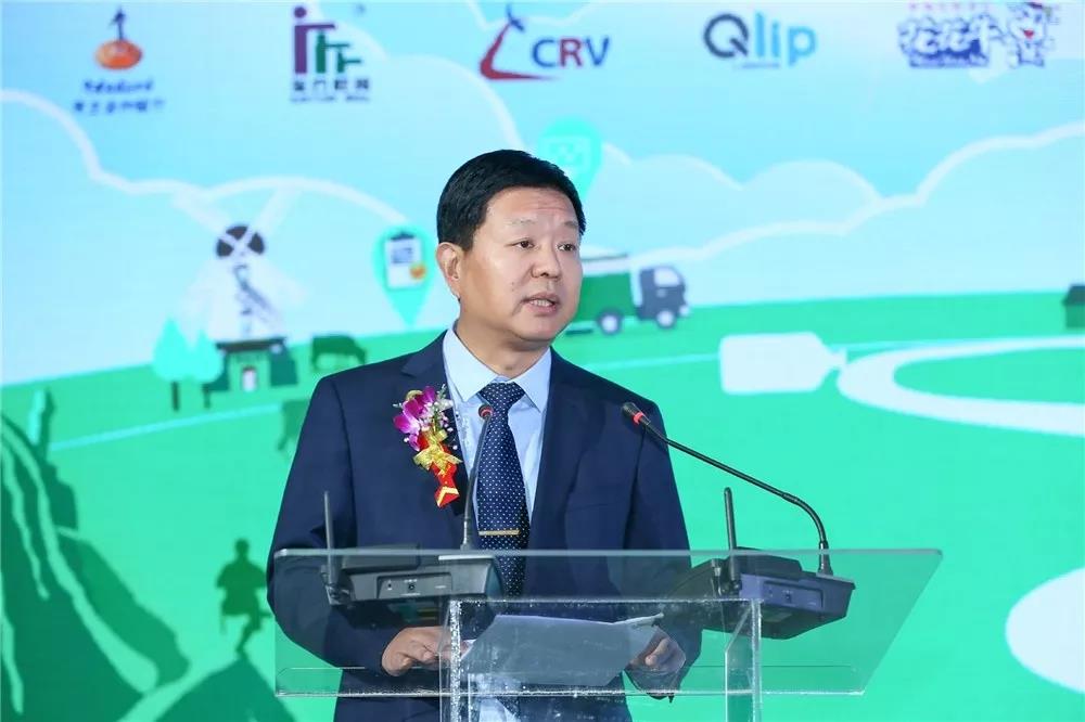 SDDDC走進河南，看看花花牛的國際范兒！