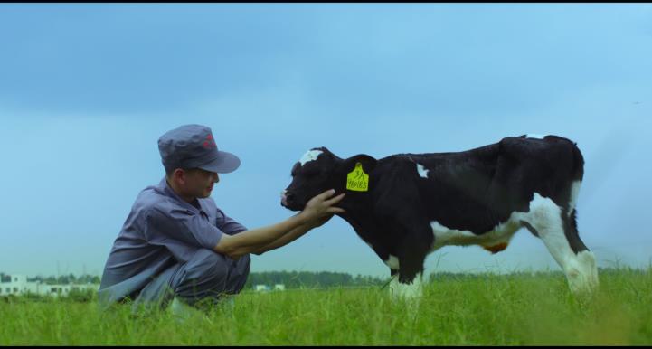 又雙叒叕獲獎啦！花花牛榮獲“乳品質量安全管理 優秀企業”